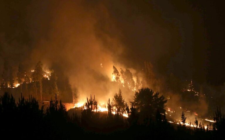 Уровень пожарной опасности на востоке Украины растет — синоптики - today.ua
