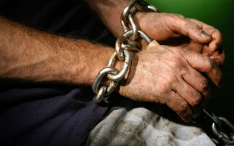 32 человека освободили с трудового рабства на Закарпатье (фото) - today.ua