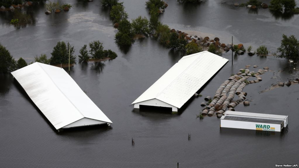 Количество жертв растет: в США шторм "Флоренс" унес 35 жизней