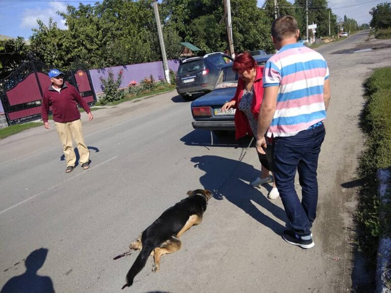 Живодеры: на Винниччине женщина и таксист привязали собаку к машине и тащили за город - today.ua