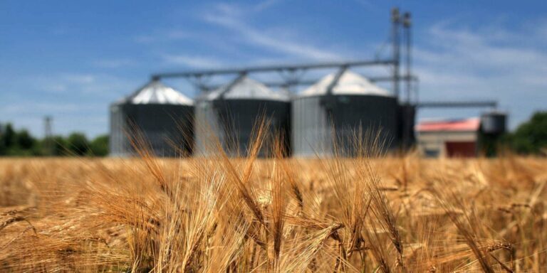Україна експортувала майже 7 млн тонн зернових - today.ua