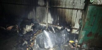 В Житомире сгорел бездомный — СМИ - today.ua