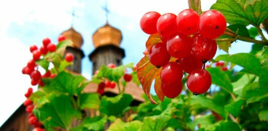 Украинцам рассказали о погоде на выходные - today.ua