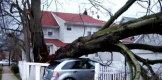  36 осіб стали жертвами урагану “Майкл“ у США - today.ua