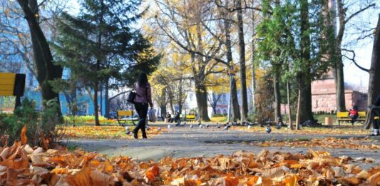 Украинцам обещают теплые и солнечные выходные - today.ua