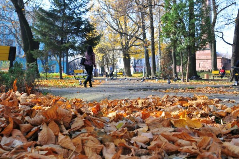 Украинцам обещают теплые и солнечные выходные - today.ua