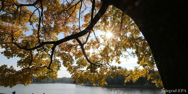 Бабье лето задержится в Украине - today.ua