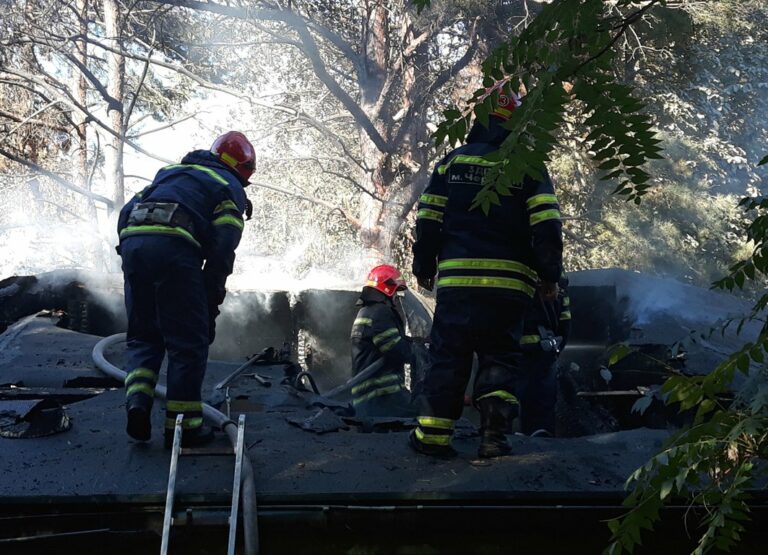 В черкасском зоопарке произошел пожар (фото)  - today.ua