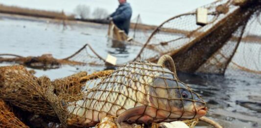 Скандал в Азовському морі: подробиці українсько-російських переговорів - today.ua