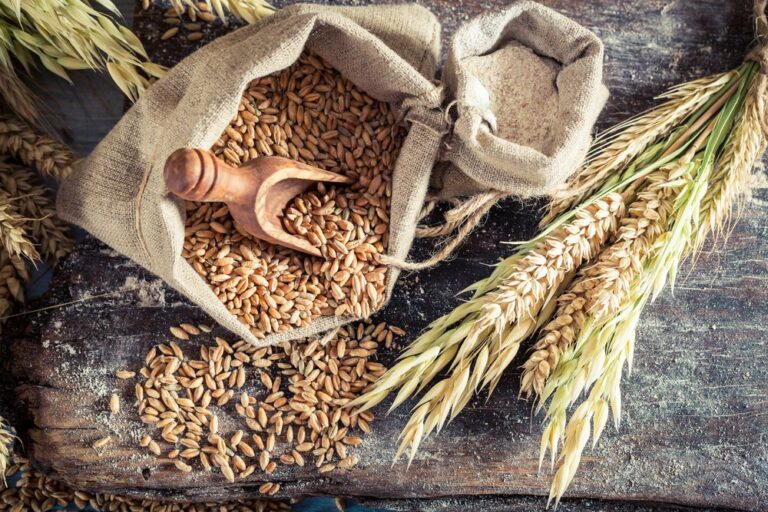В Україні по-новому оцінюватимуть якість пшениці  - today.ua