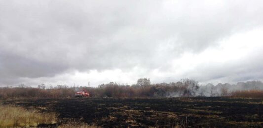 На Черниговщине горят более 3 гектаров торфяников - today.ua