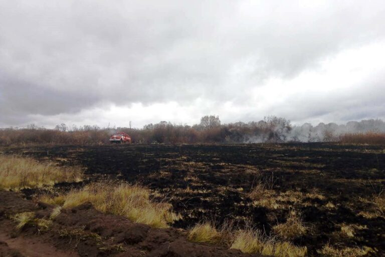 На Черниговщине горят более 3 гектаров торфяников - today.ua