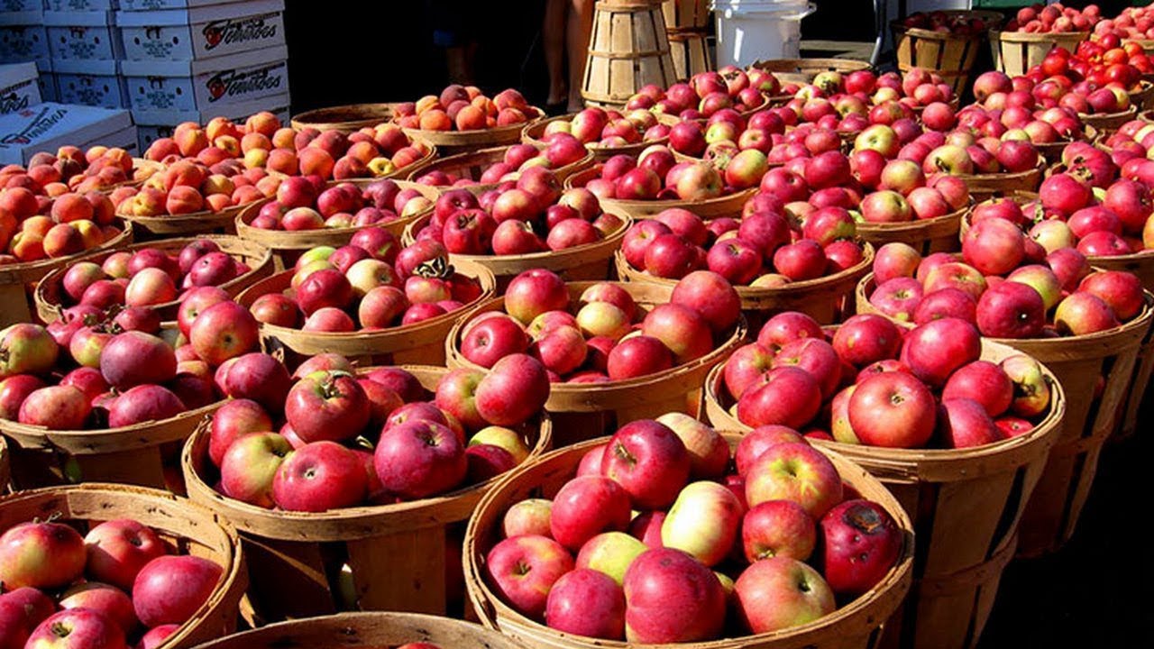 В Украине взлетели цены на картофель, морковь, лук и яблоки