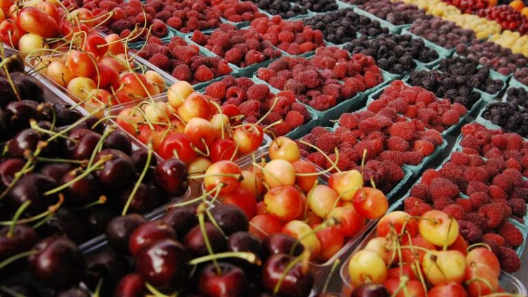 Україна збільшила експорт ягід і горіхів до ЄС на 40% - today.ua