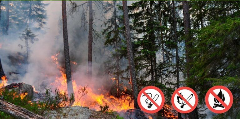 В Украине объявлена чрезвычайная пожарная опасность   - today.ua
