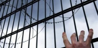 Втік із колонії: на Херсонщині розшукують 28-річного засудженого - today.ua