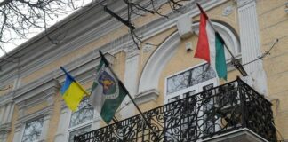 Для закарпатцев в Берегово заработают бесплатные курсы украинского языка  - today.ua