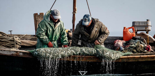 С 2019 года украинцы не смогут рыбачить в Азовском море: названа причина - today.ua