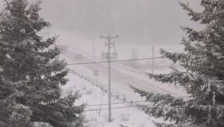 Снегопад в Украине обесточил 170 населенных пунктов  - today.ua