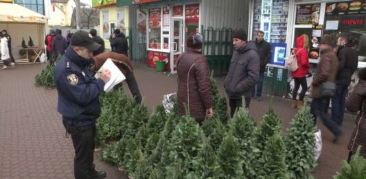 Украинцам грозит существенный штраф за незаконную вырубку елок - today.ua