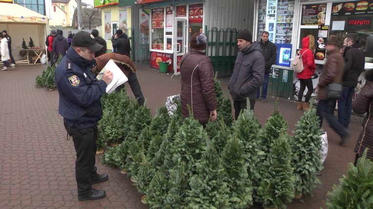 Украинцам грозит существенный штраф за незаконную вырубку елок - today.ua