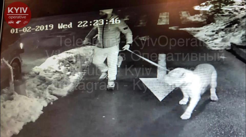 В Киеве мужчина с собакой с одного удара убил 26-летнего парня