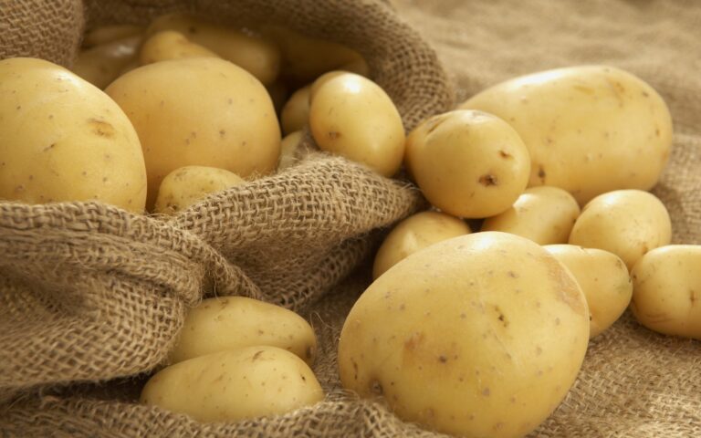 В Украине грядет подорожание картофеля - today.ua