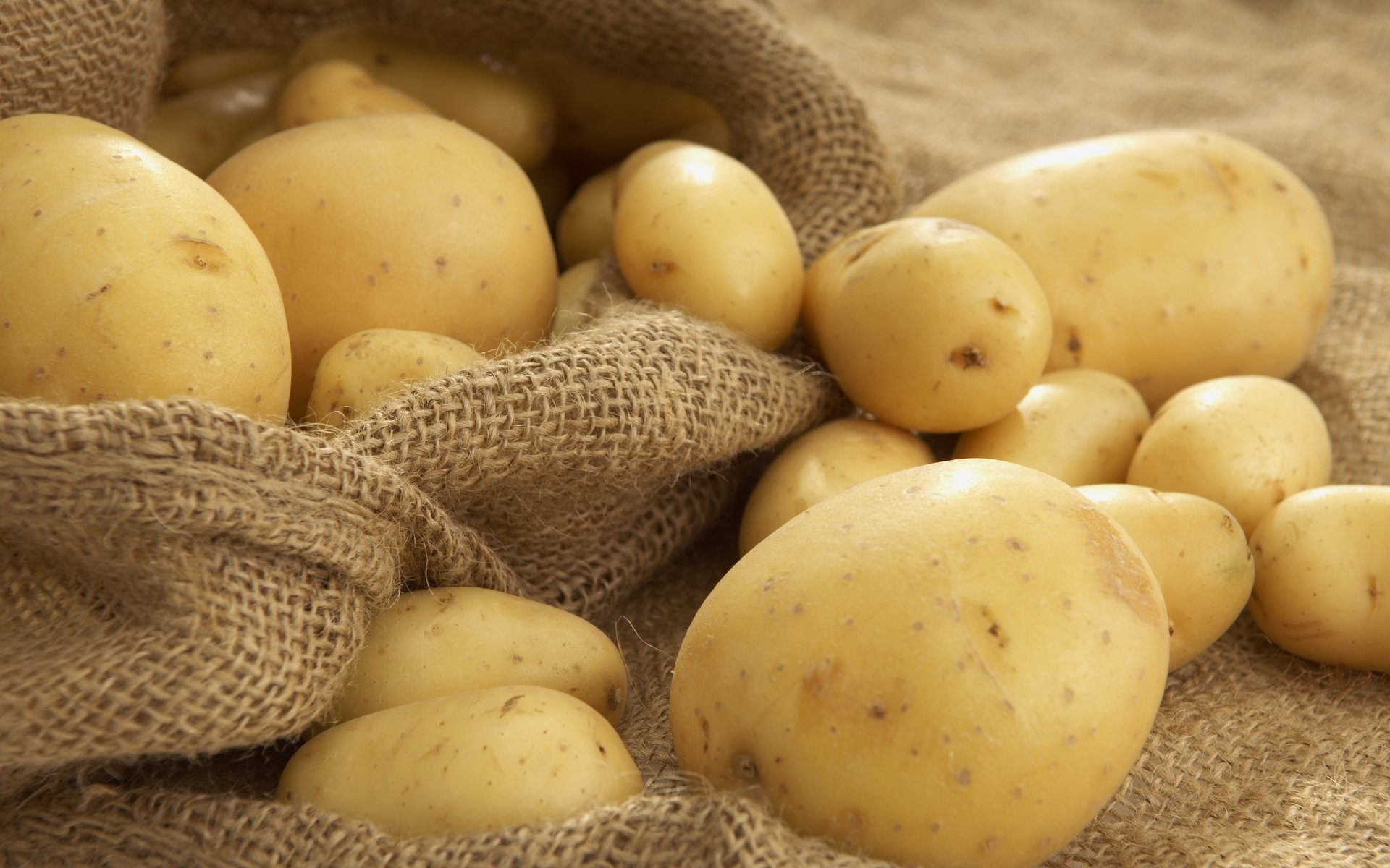 Як зібрати врожай молодої картоплі раніше за сусідів: розкриті секрети городників