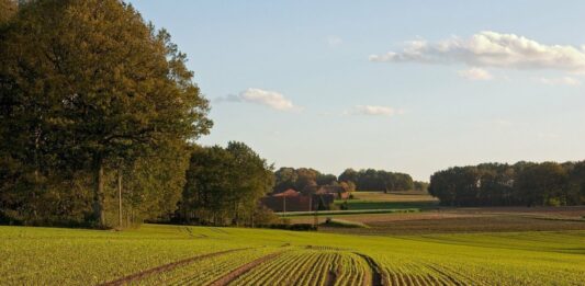 В Україні можуть зняти мораторій на продаж землі  - today.ua