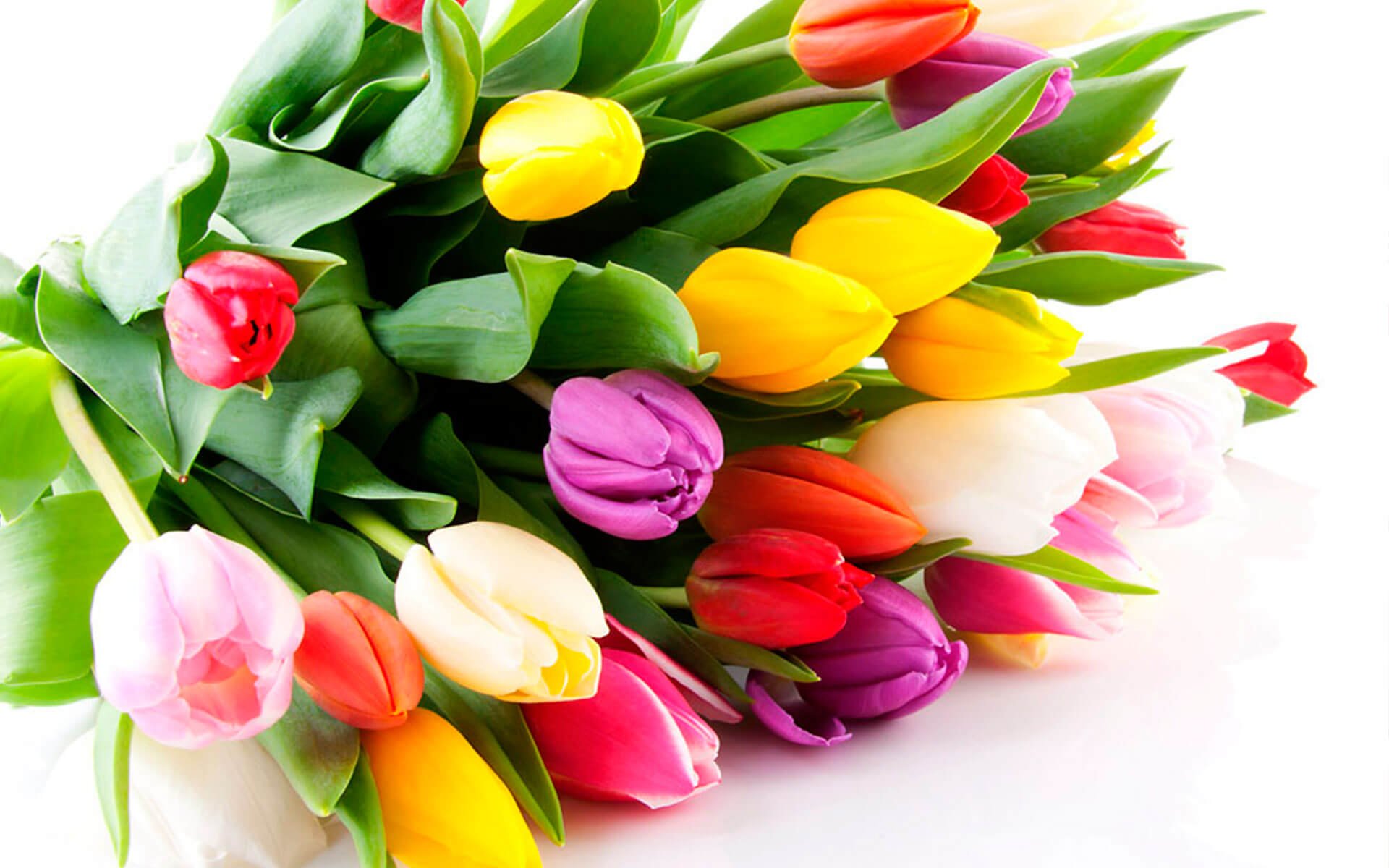 ТОП-5 худших подарков женщинам на 8 марта