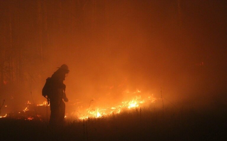 В зоні відчуження ліквідували масштабну пожежу - today.ua