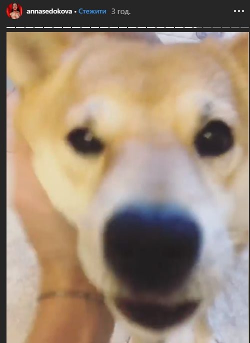 Анна Седокова оригинально поздравила с Днем Святого Валентина - today.ua