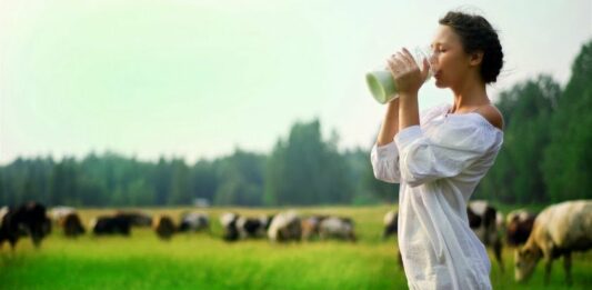 Эксперты рассказали, где в Украине самые дешевые молочные продукты  - today.ua