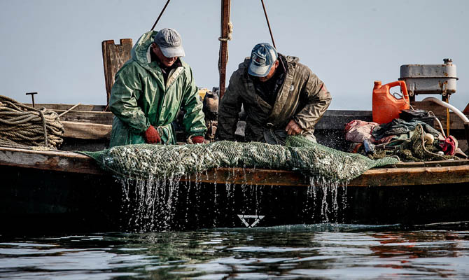 Україна підписала договір з Росією про вилов риби в Азовському морі - today.ua