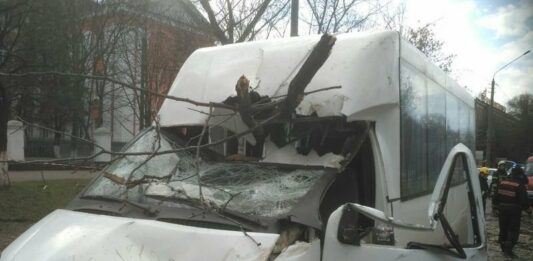 В Николаеве на маршрутку упало дерево: пострадали дети - today.ua