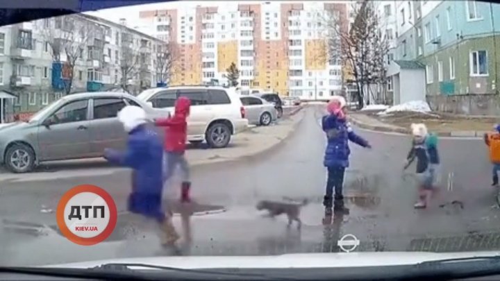 Опасные забавы: в Киеве на дорогах бегают дети и играют в “регулировщиков“ (видео) - today.ua