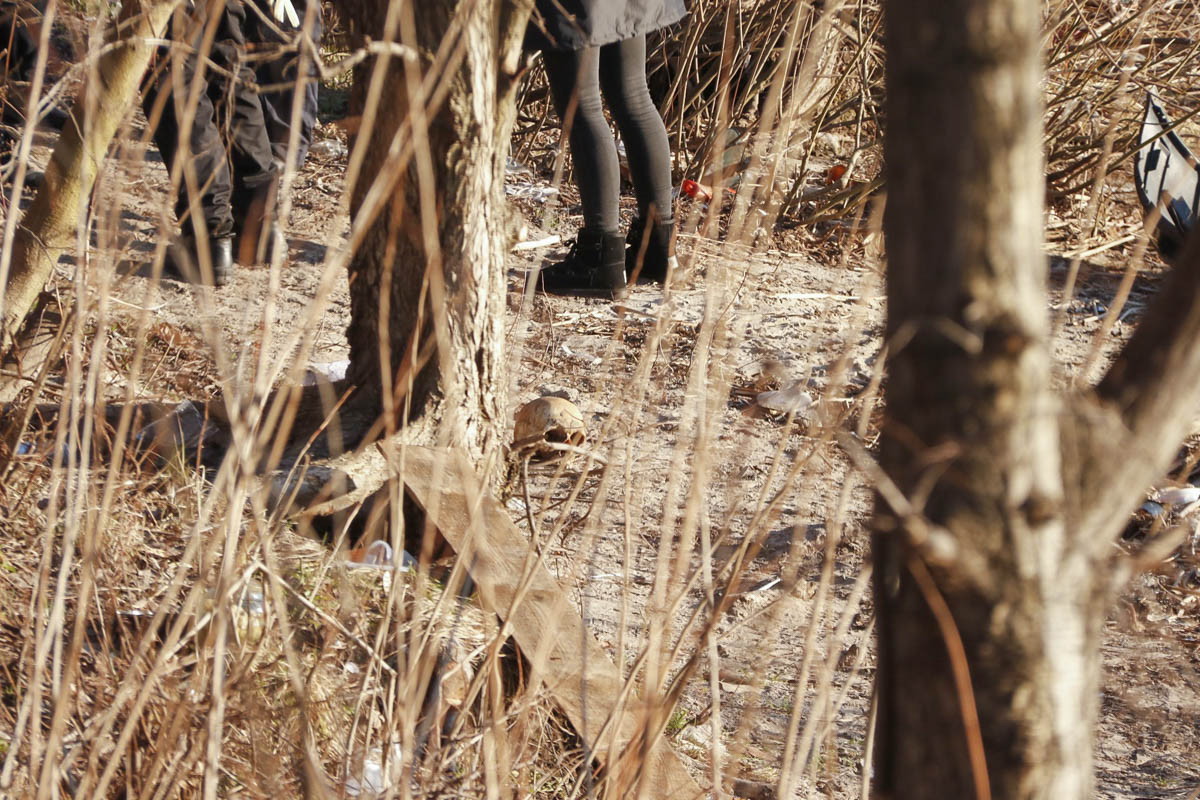 У Києві на узбережжі Дніпра знайшли череп людини