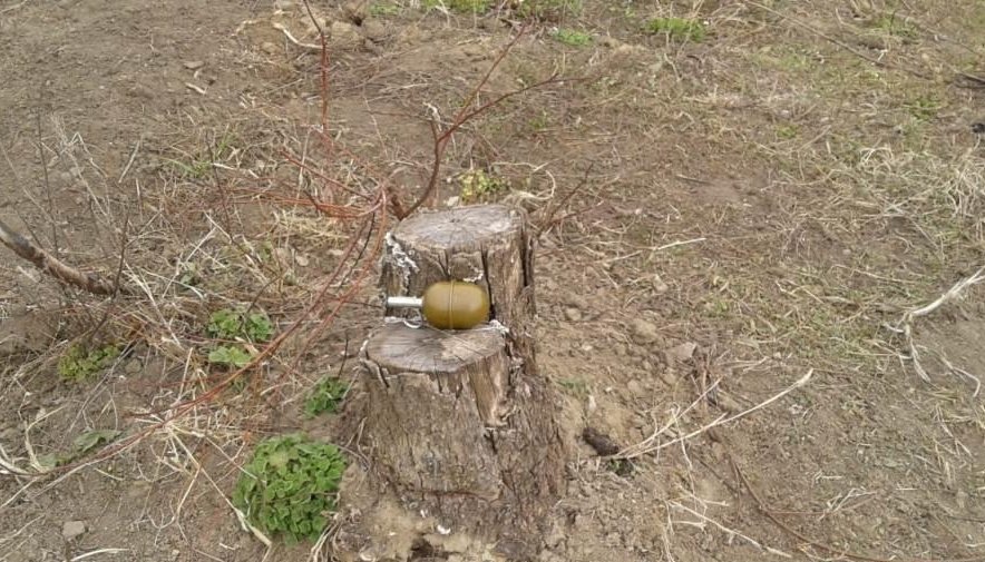 В Одесской области погиб мужчина, который играл с гранатой