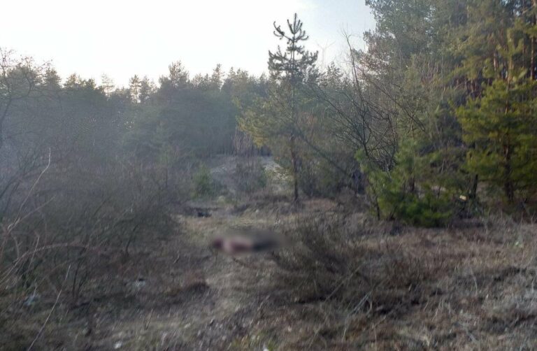 На Харківщині біля цвинтаря знайшли тіло вбитого солдата-контрактника - today.ua