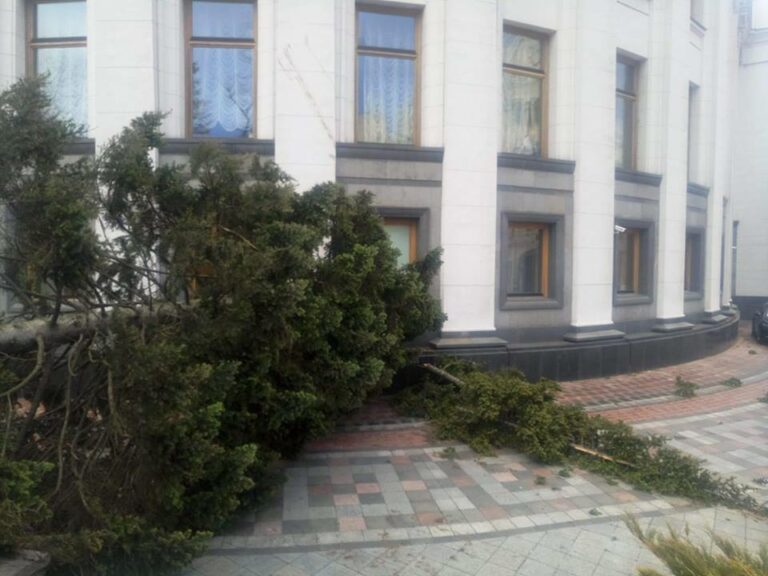Ель упала на Верховную Раду в Киеве - today.ua