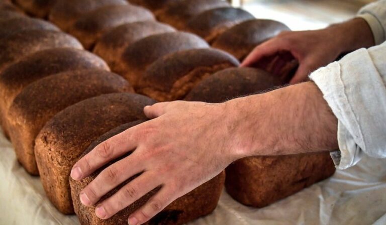 В Україні зростуть ціни на хліб: причини подорожчання - today.ua