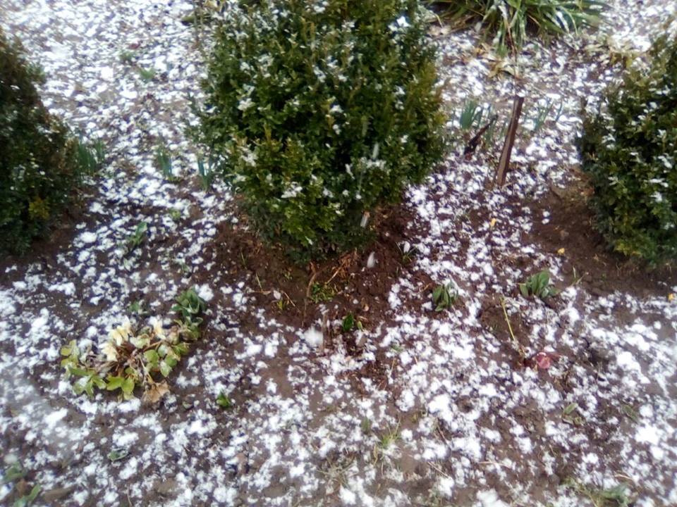 У Гідрометцентрі відреагували на аномальний сніг у Києві