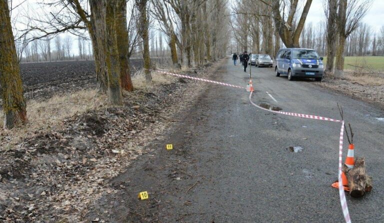 На Киевщине иностранец совершил жестокое убийство таксиста  - today.ua