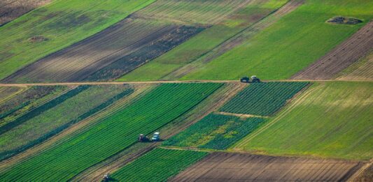 Українці не зможуть отримати обіцяні 2 га землі від держави, - Лещенко - today.ua