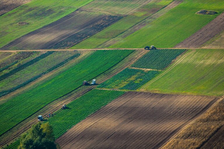 Рынок земли во время войны: как изменилась стоимость гектара по областям Украины - today.ua