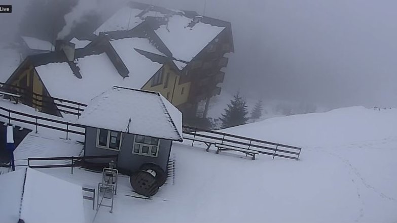 Карпати засипало снігом