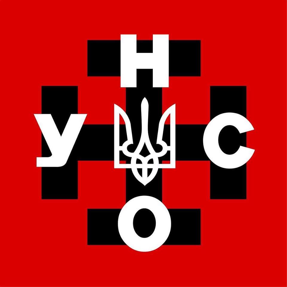 В УНА-УНСО розповіли, кого підтримають у другому турі виборів