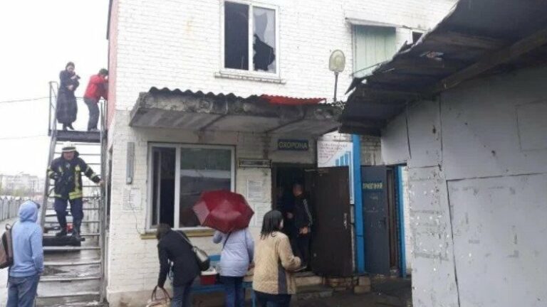В Киеве произошел пожар в приюте для кошек - today.ua