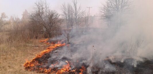 На Черниговщине избили МЧСников, тушивших пожар - today.ua