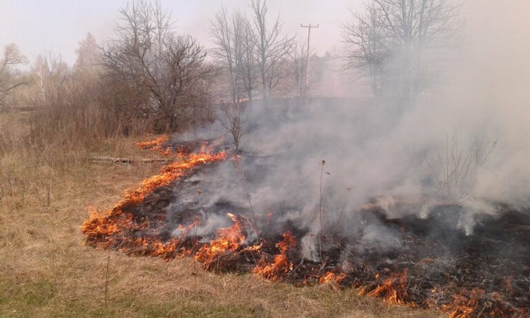 На Чернігівщині побили МНСників, які гасили пожежу - today.ua